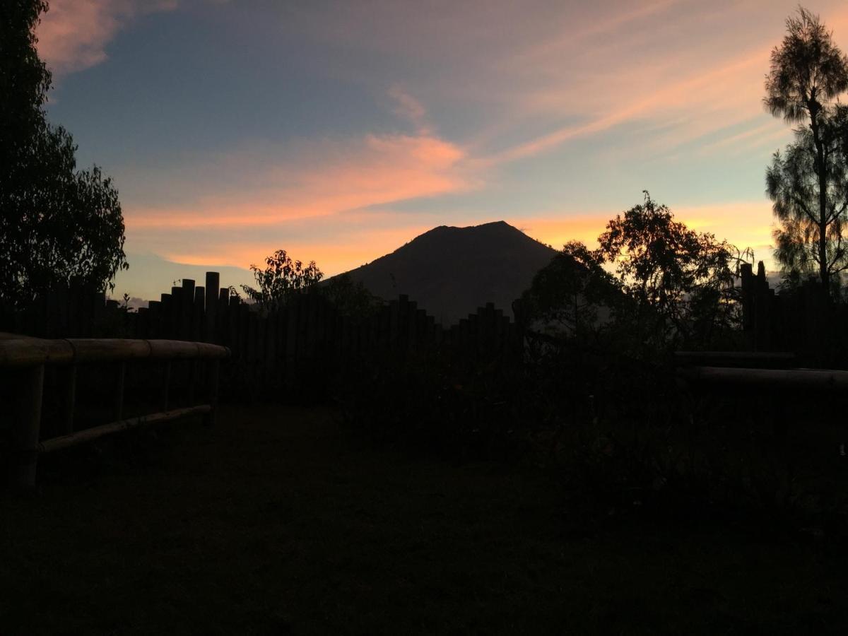 Bed and Breakfast Bunbulan Panorama Kintamani Exterior foto